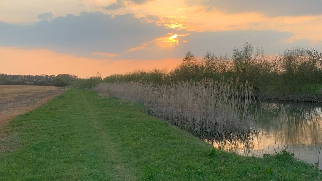 Photo of Others in Longworth