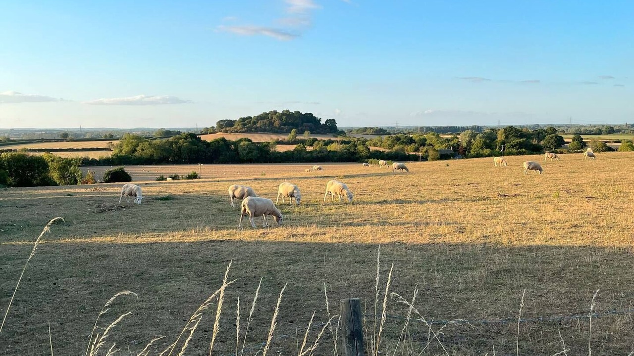 Photo of Others in Longworth