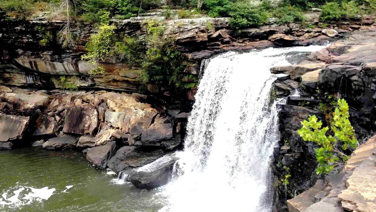 Photo of Others in Cedar Bluff