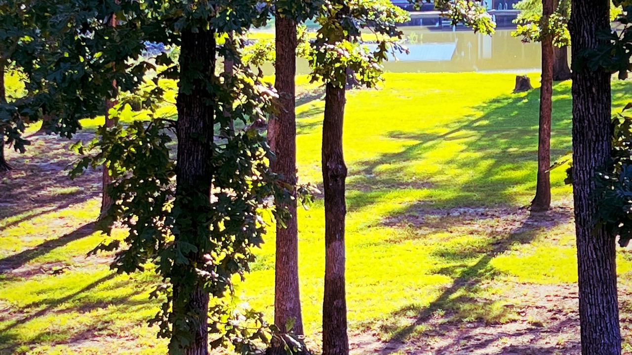 Photo of Others in Cedar Bluff