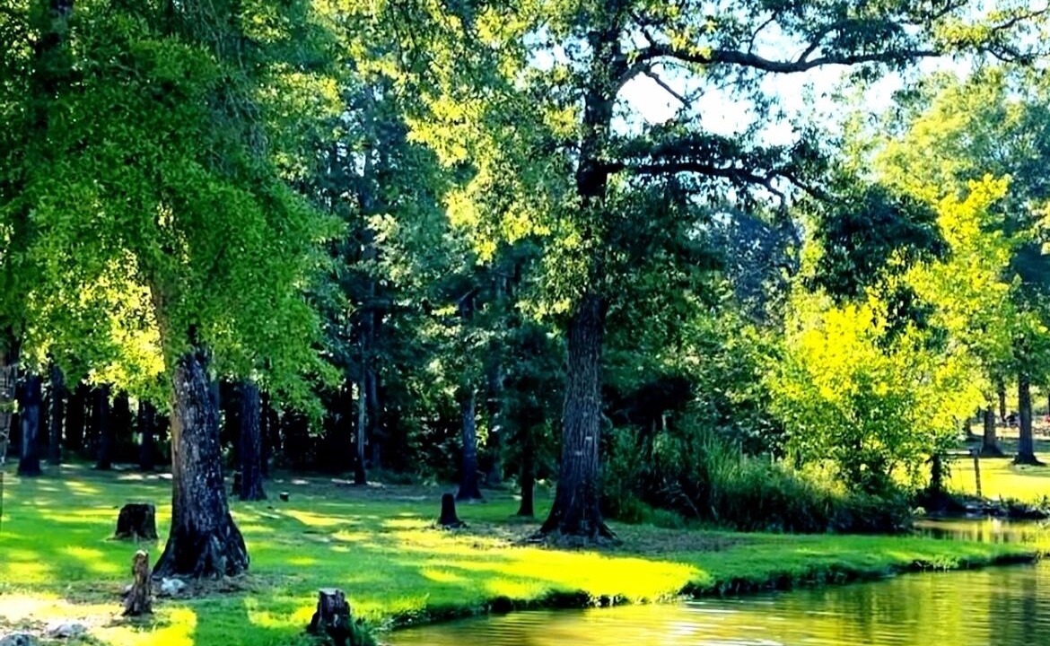 Photo of Others in Cedar Bluff