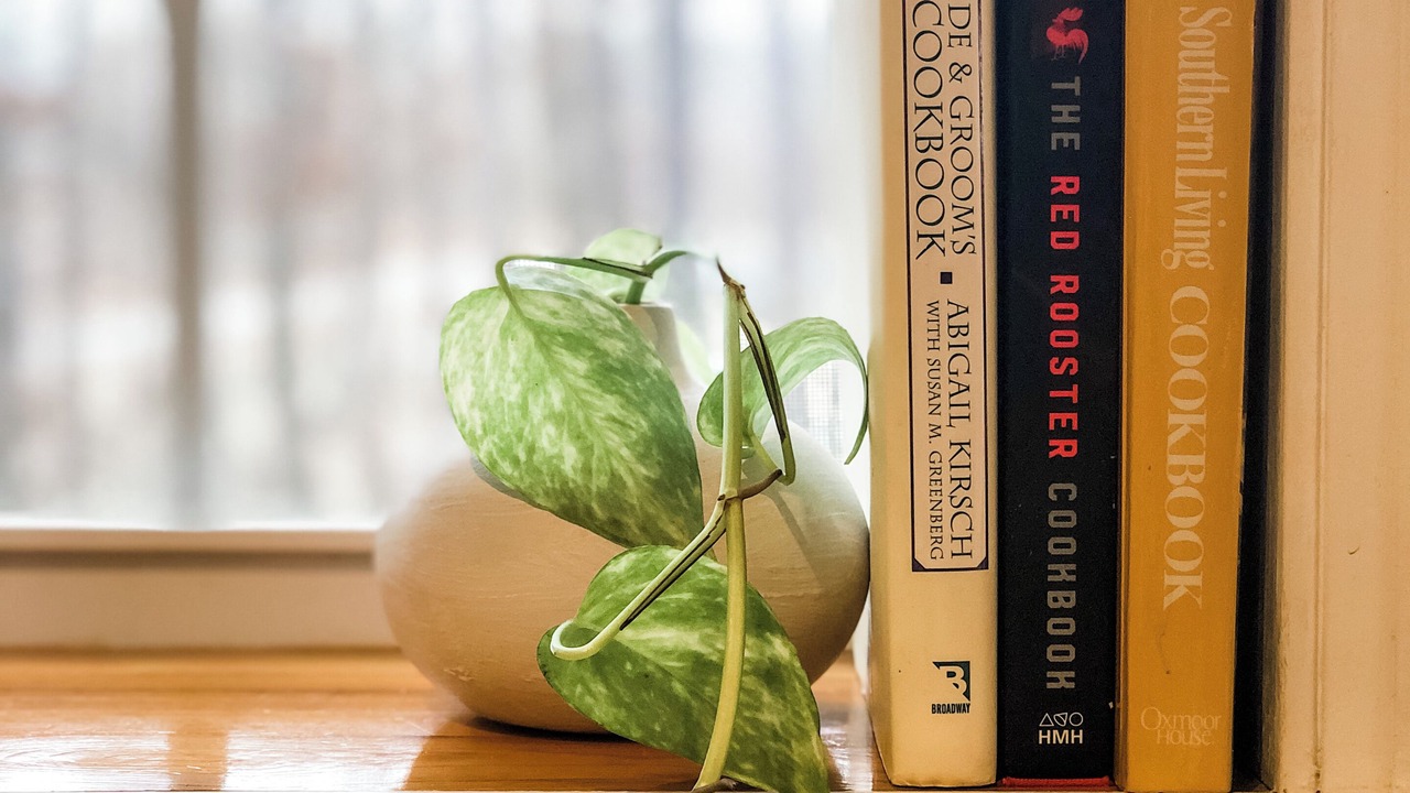 Photo of Others in Cedar Bluff