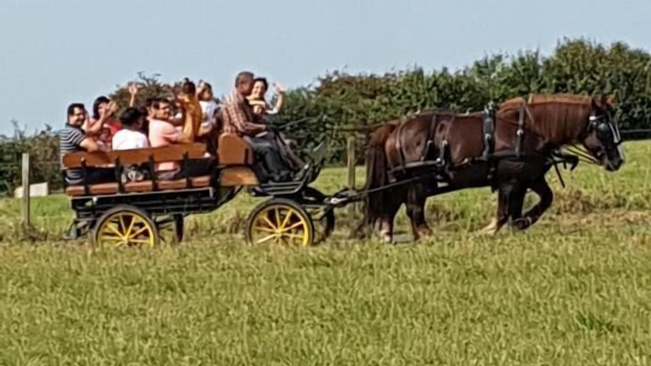 Photo of Others in Champeaux
