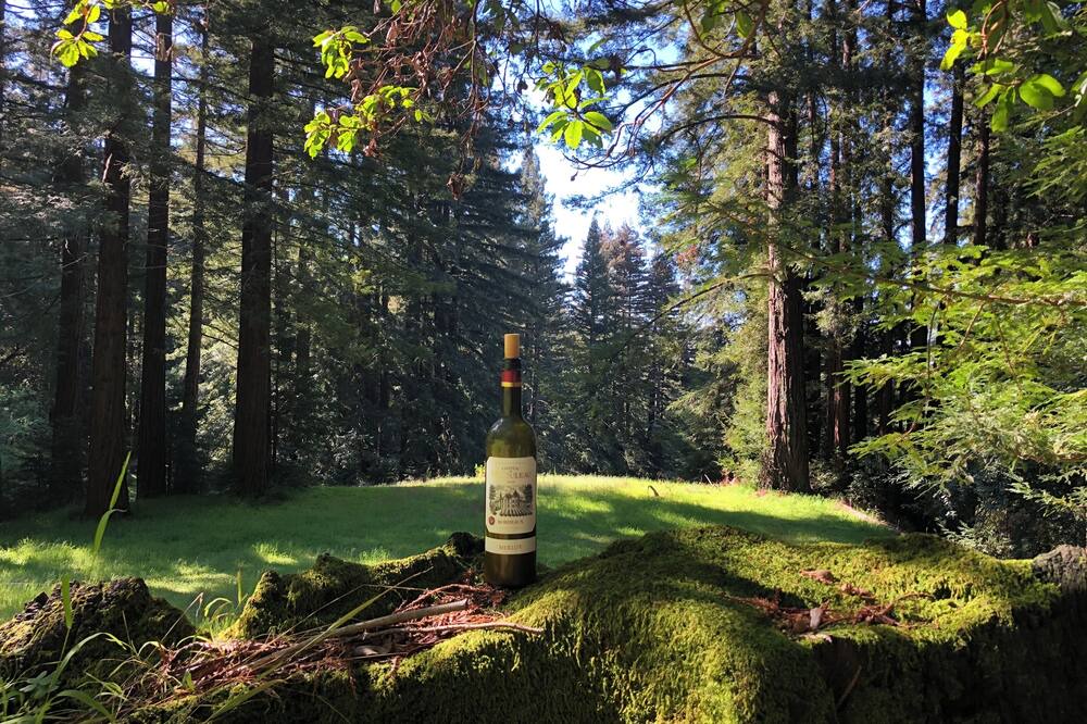 Photo of Others in Los Gatos