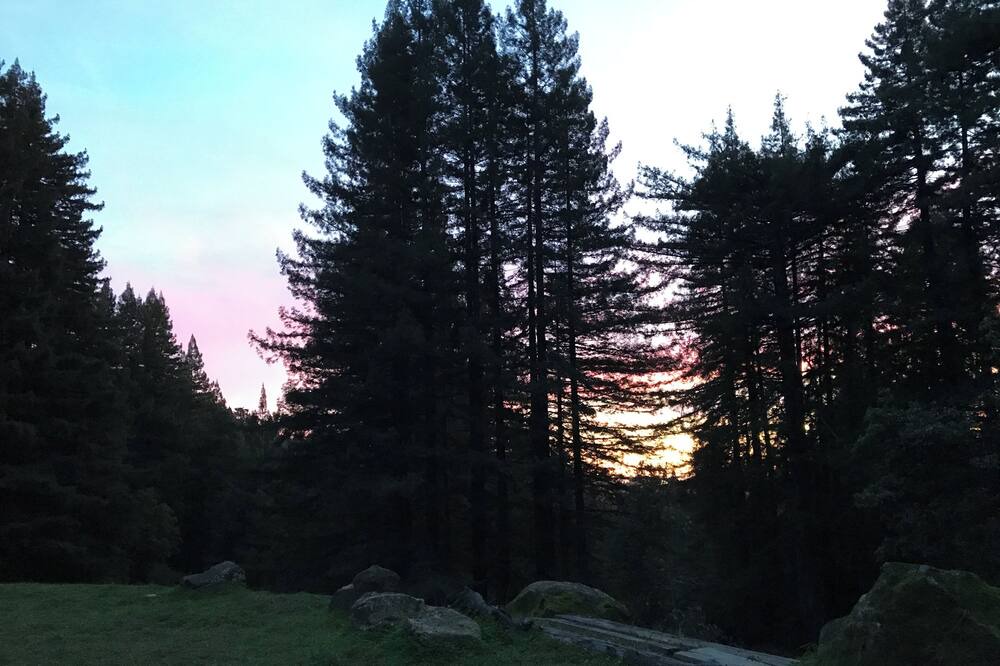 Photo of Outdoor in Los Gatos