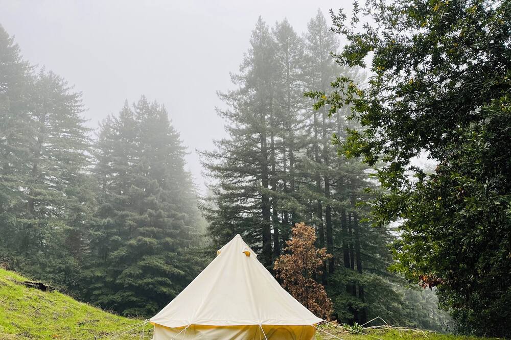 Photo of Outdoor in Los Gatos