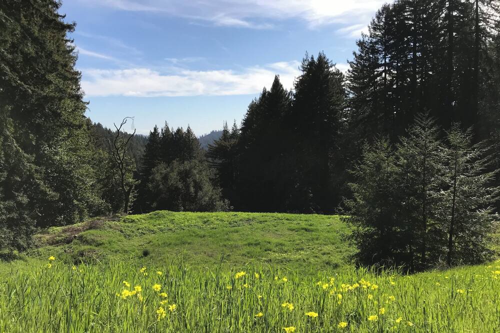 Photo of Outdoor in Los Gatos