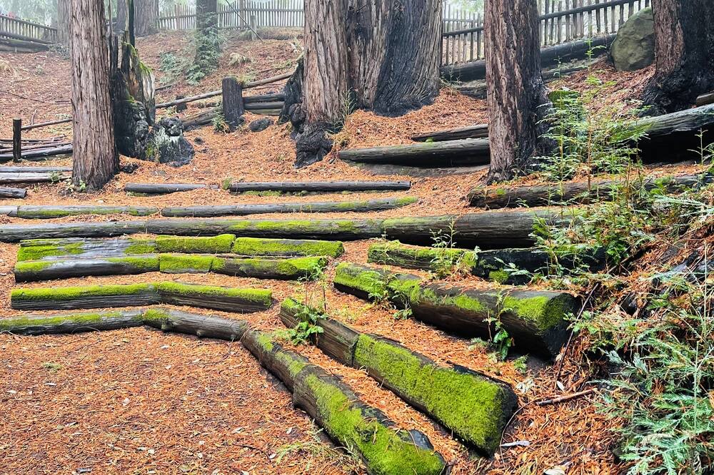 Photo of Outdoor in Los Gatos