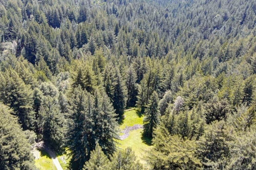 Photo of Others in Los Gatos