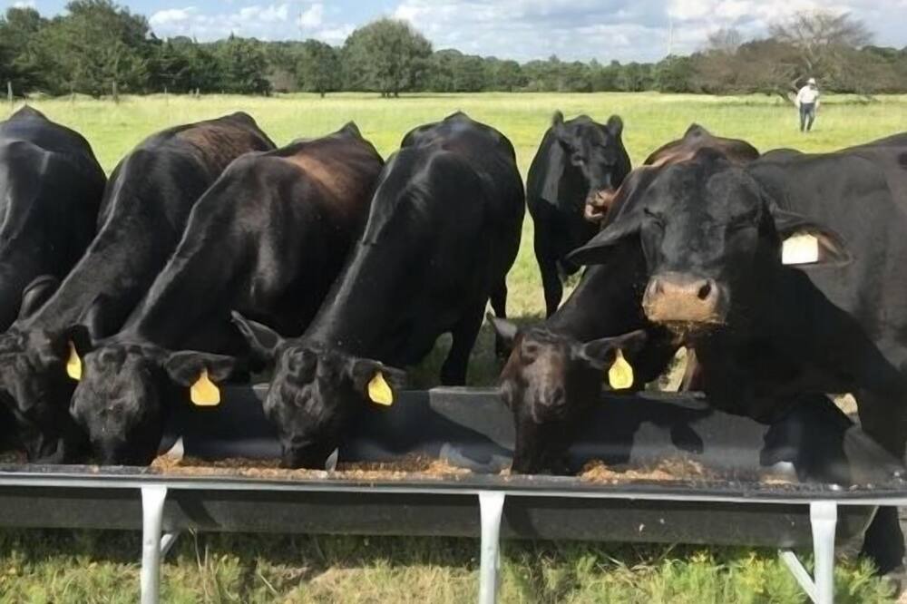 Photo of Outdoor in Bryan