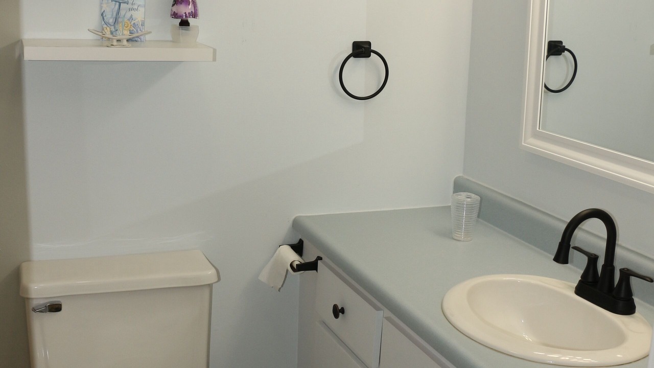 Photo of Others in Windsor