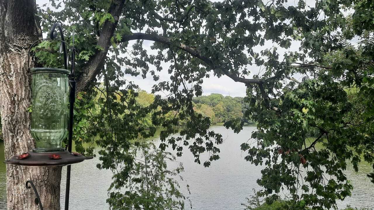 Photo of Outdoor in Tuscarora