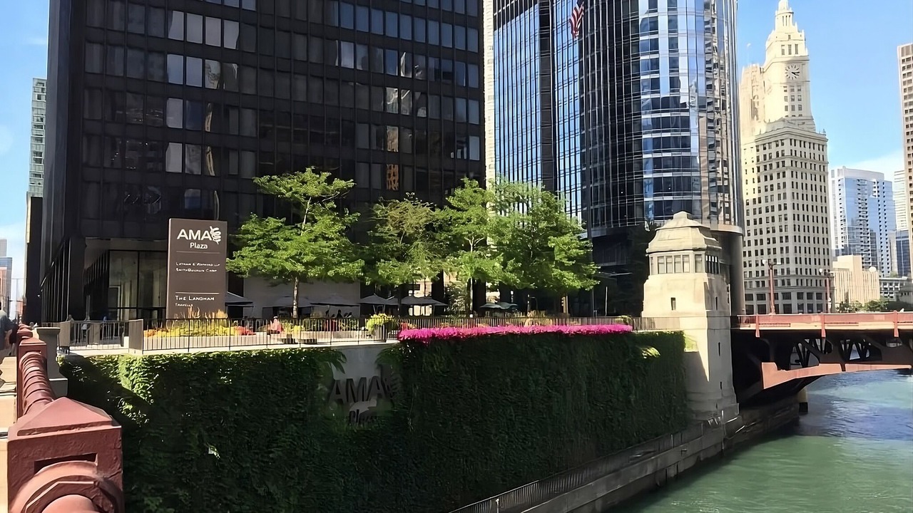 Photo of Others in Downtown Chicago