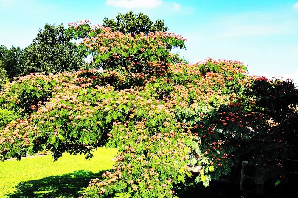 Photo of Outdoor in Hede