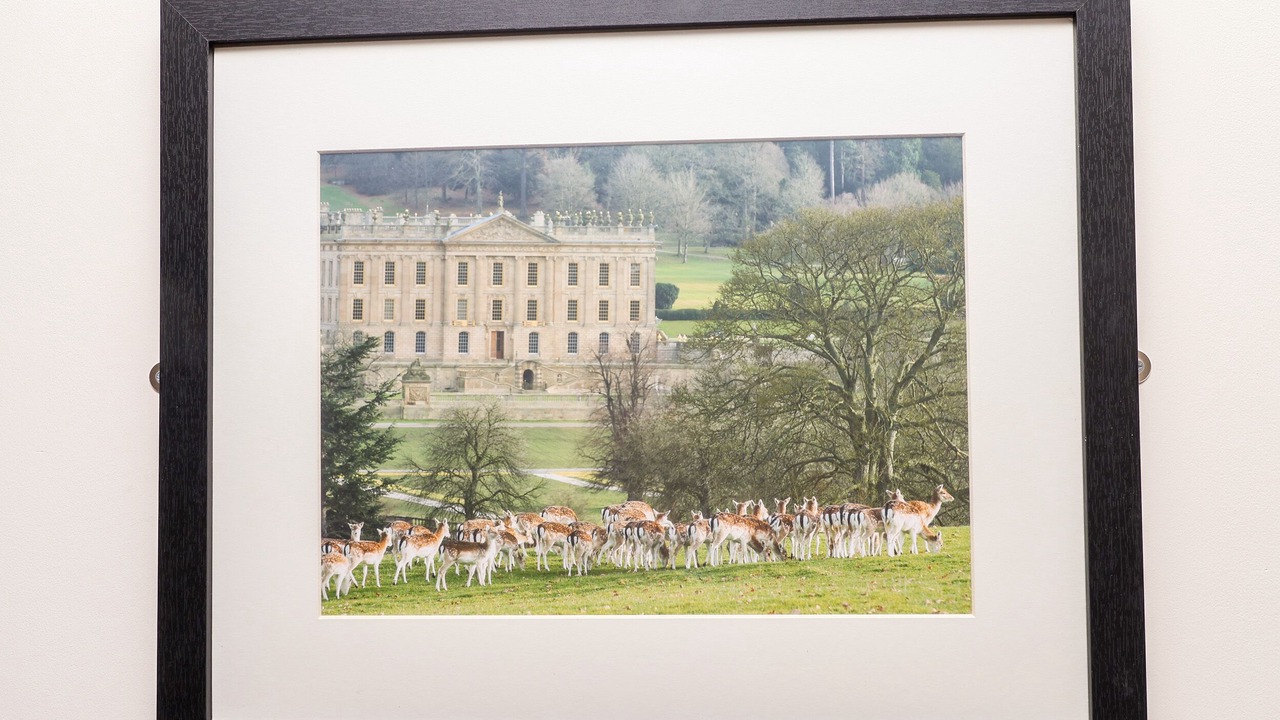 Photo of Others in Ashover