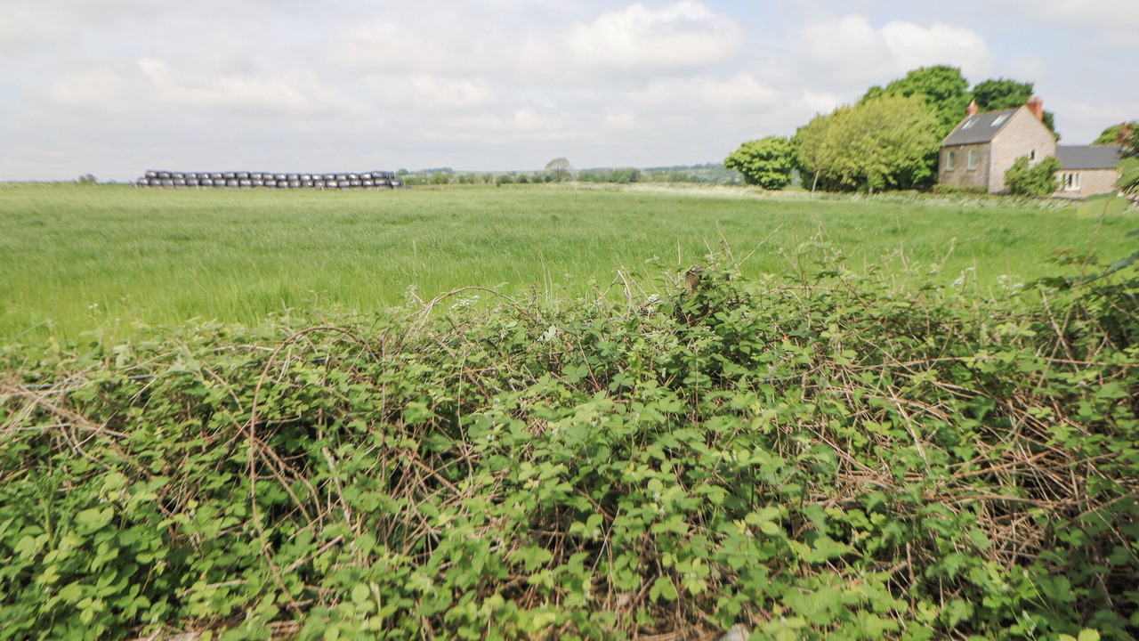 Photo of Others in Ashover