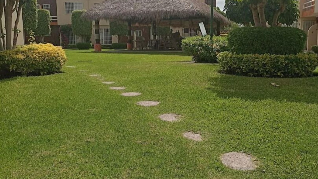 Photo of Outdoor in Emiliano Zapata