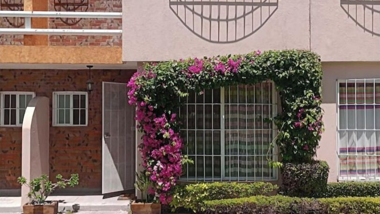 Photo of Outdoor in Emiliano Zapata