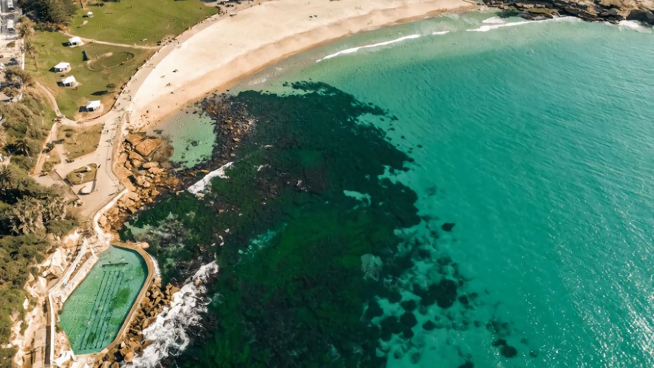 Photo of Outdoor in Bronte