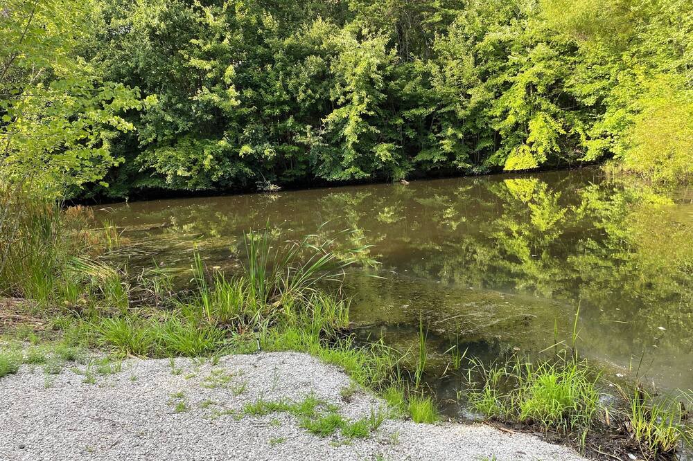 Photo of Outdoor in East Bernstadt