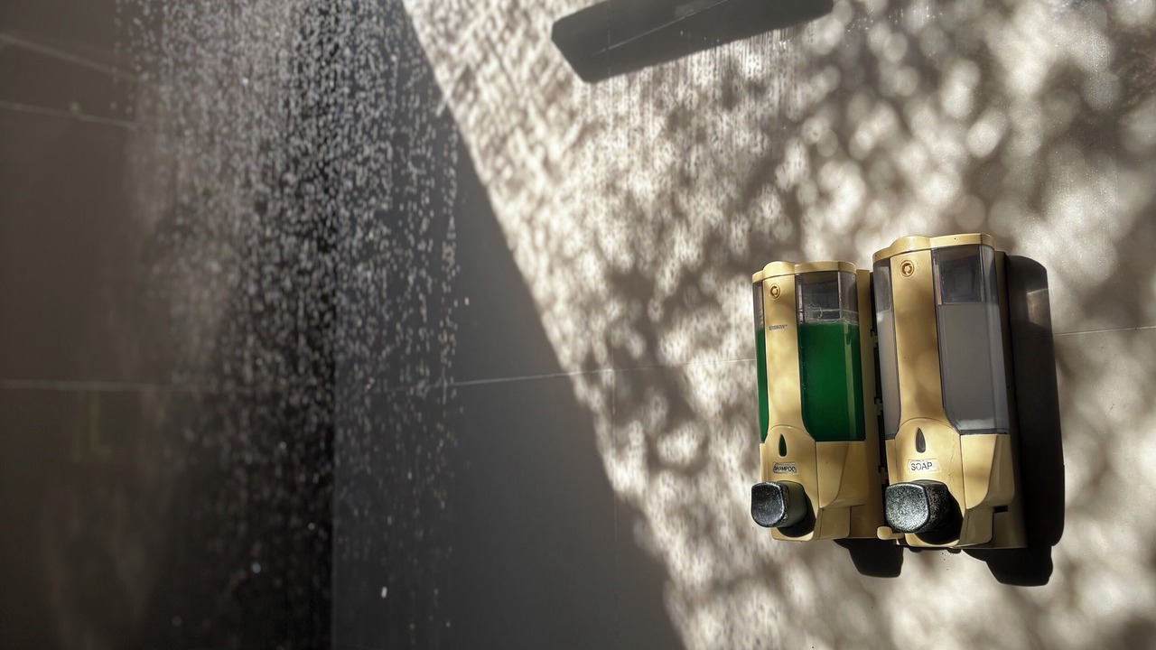 Photo of Bathroom in Mushroom Bay