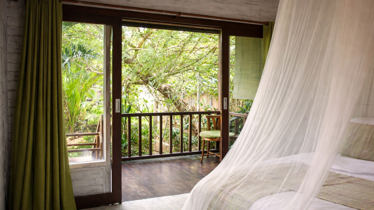 Photo of Outdoor in Mushroom Bay