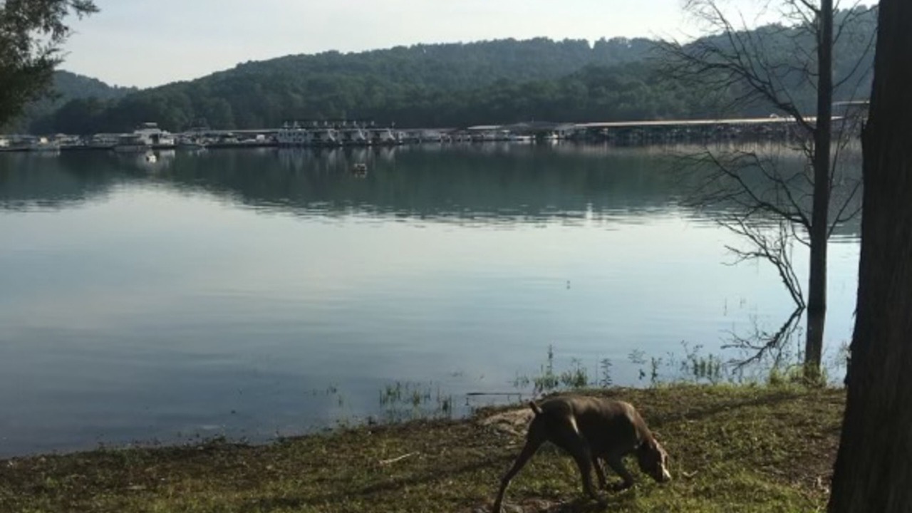 Photo of Others in New Tazewell