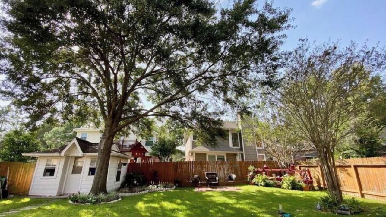 Photo of Outdoor in Meadows Place