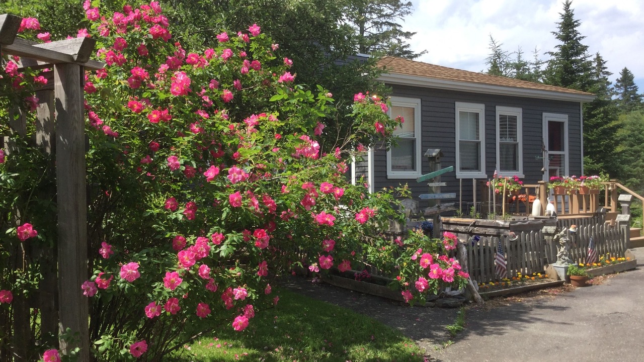 Photo of Outdoor in East Sullivan