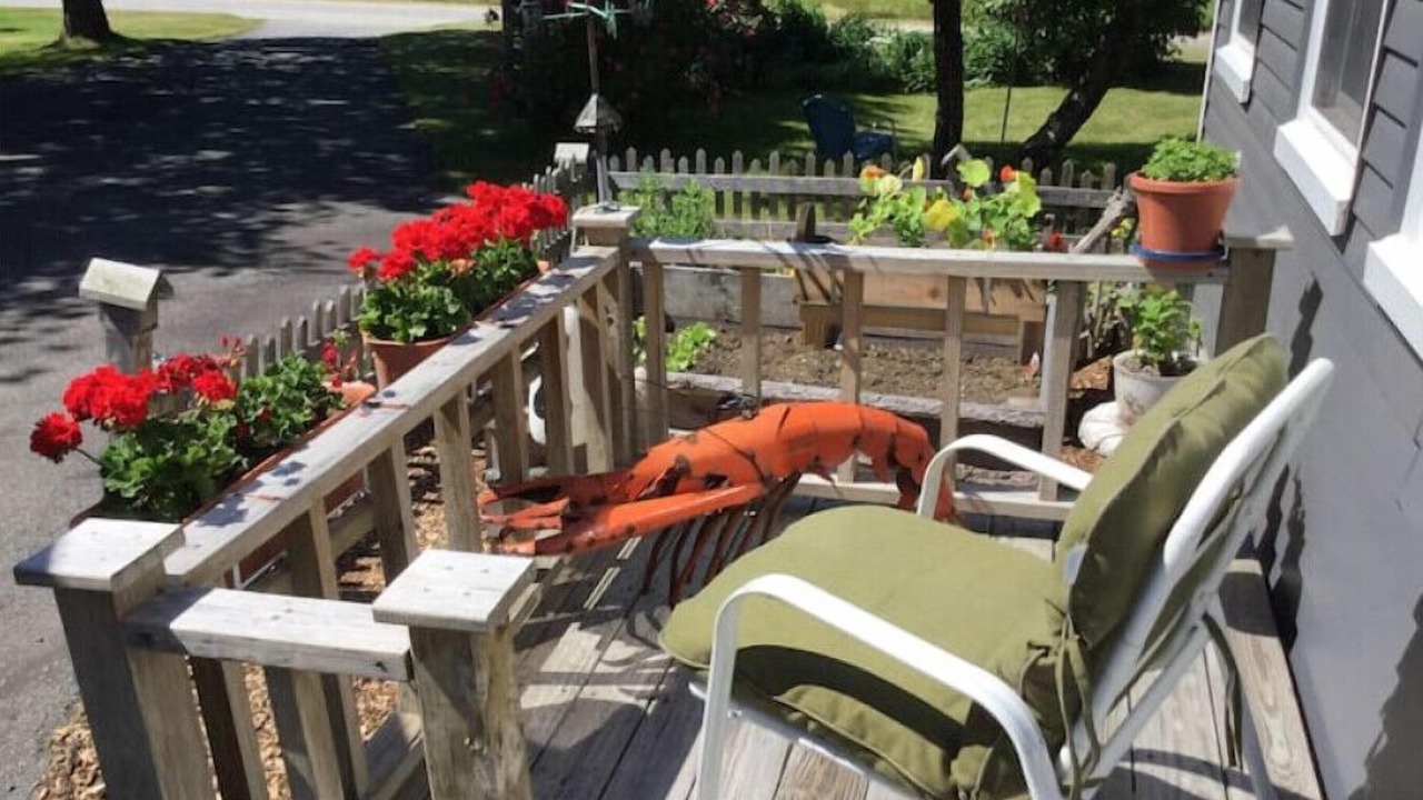 Photo of Outdoor in East Sullivan