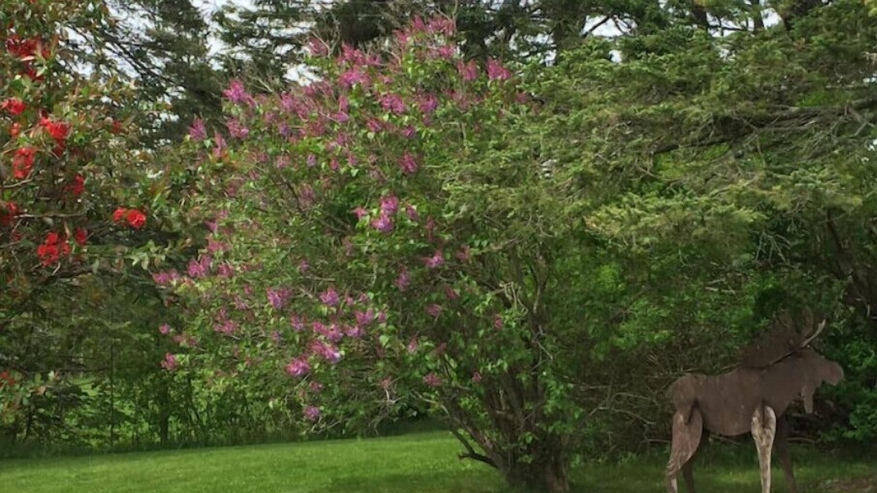 Photo of Outdoor in East Sullivan