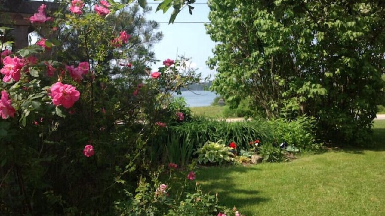 Photo of Outdoor in East Sullivan