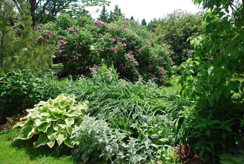 Photo of Outdoor in East Sullivan