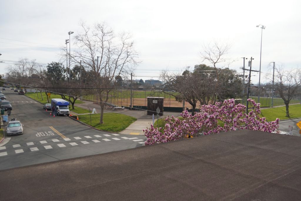 Photo of Outdoor in Southwest Berkeley