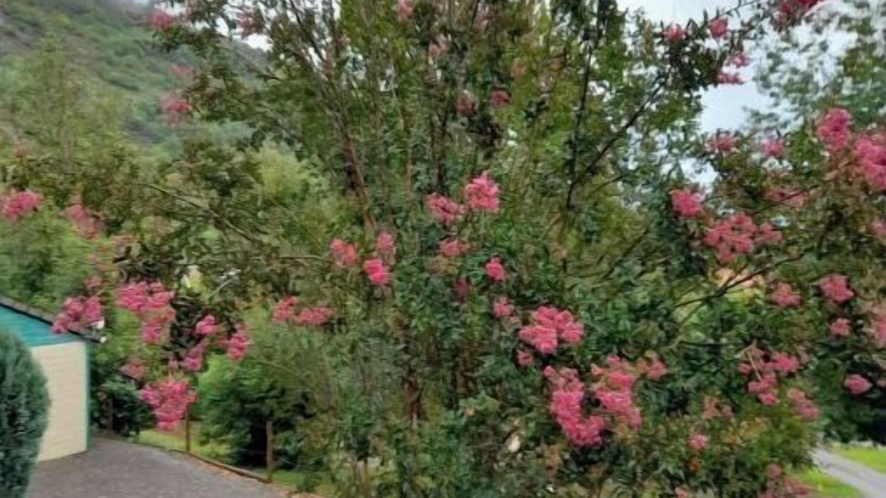 Photo of Outdoor in Vicdessos