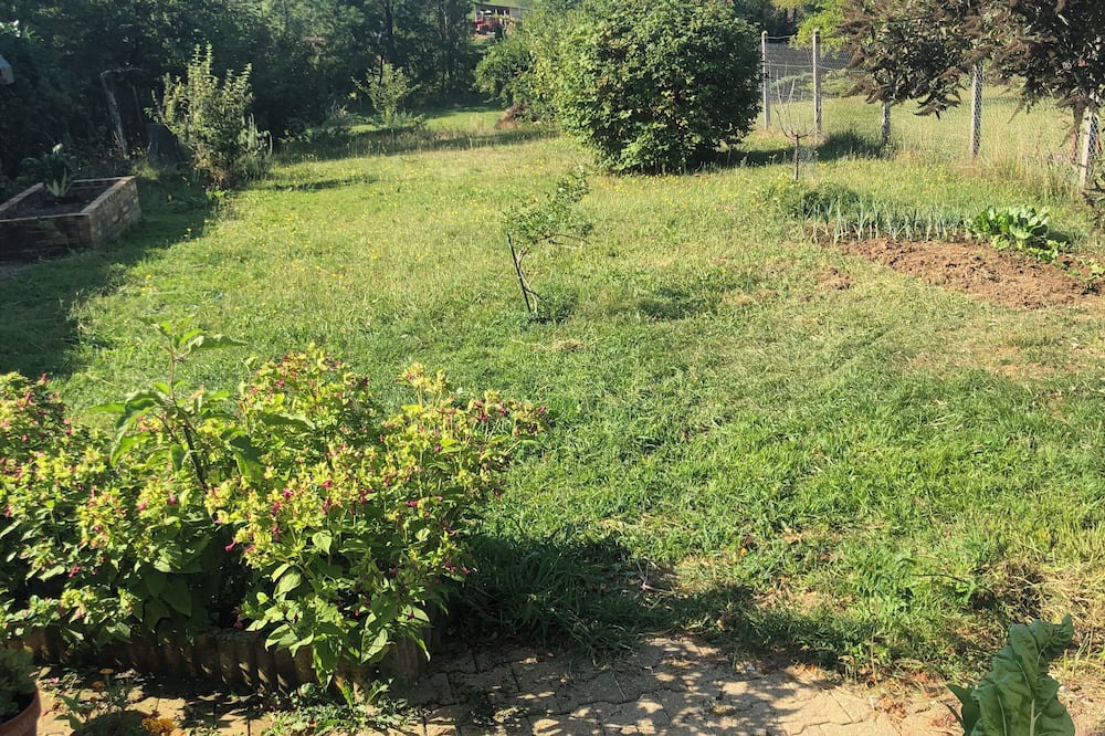 Photo of Outdoor in Cousance