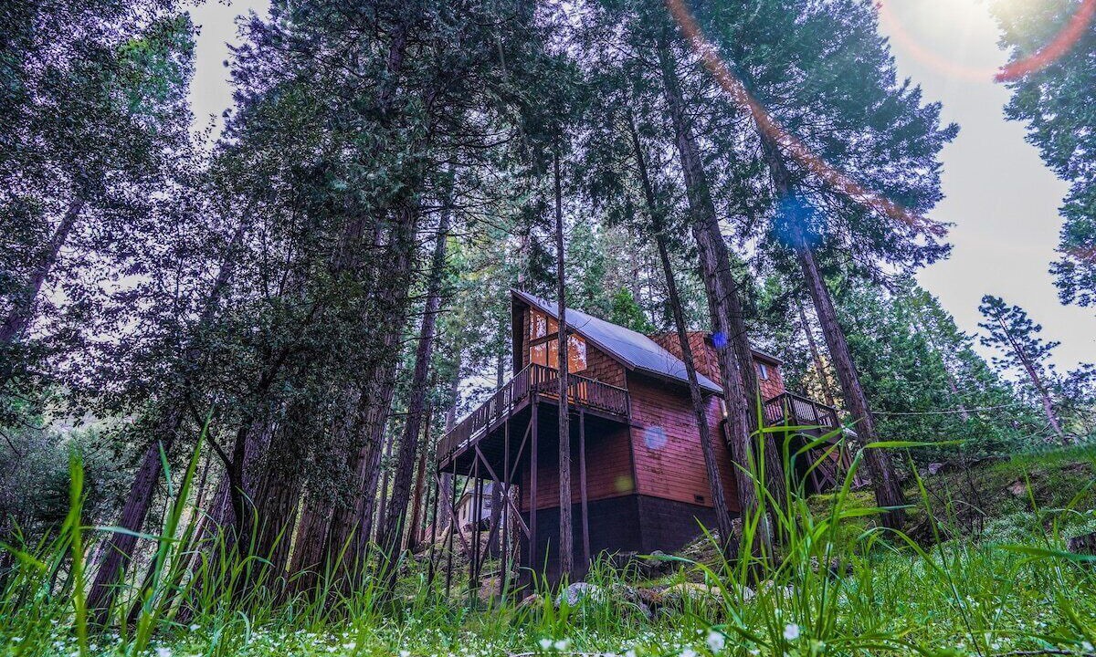 Photo of Outdoor in Kyburz