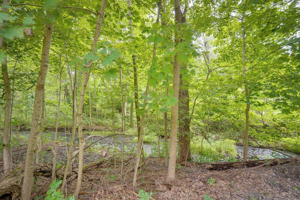 Photo of Others in Mount Marion