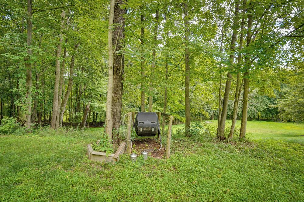 Photo of Outdoor in Mount Marion