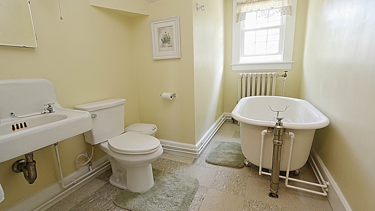 Photo of Others in New Britain