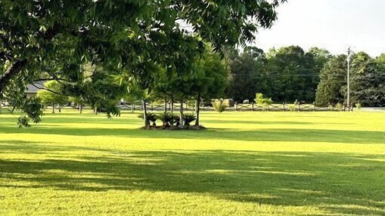 Photo of Outdoor in Lottie