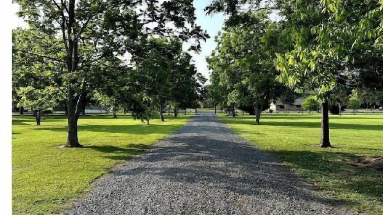 Photo of Outdoor in Lottie