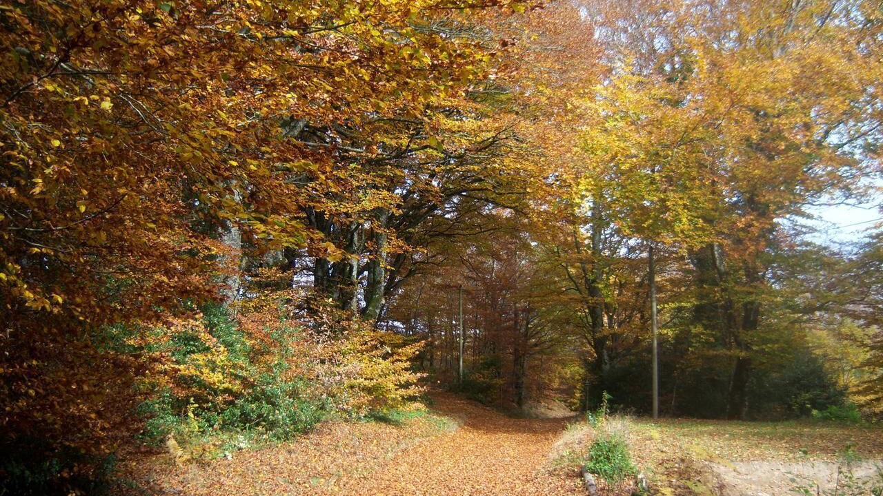 Photo of Outdoor in Le Soulie