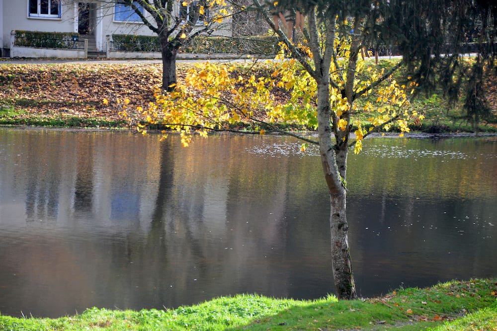 Photo of Outdoor in Chambon-sur-Voueize