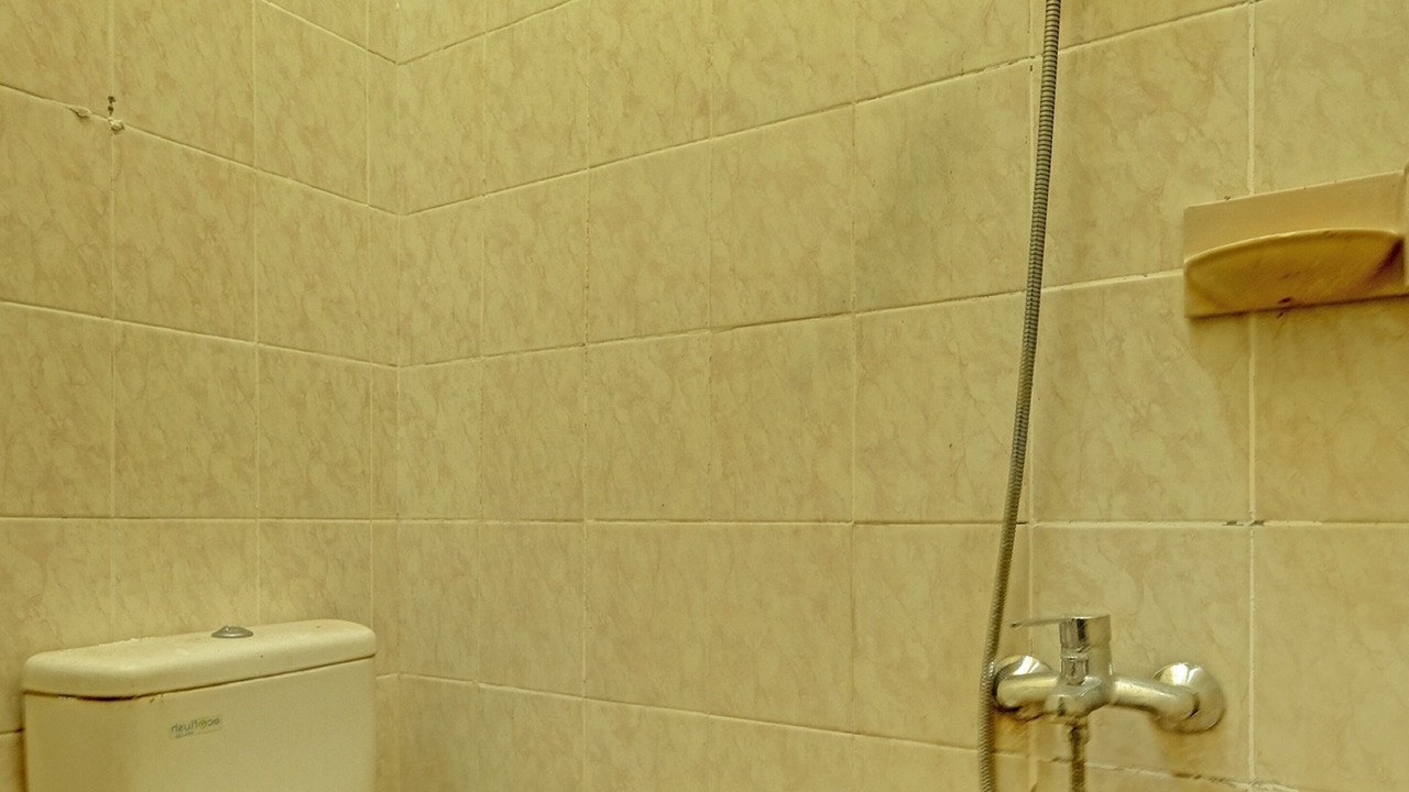 Photo of Others in Ngemplak