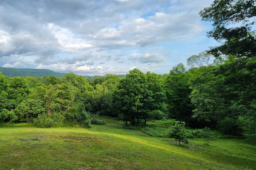 Photo of Others in Millerton