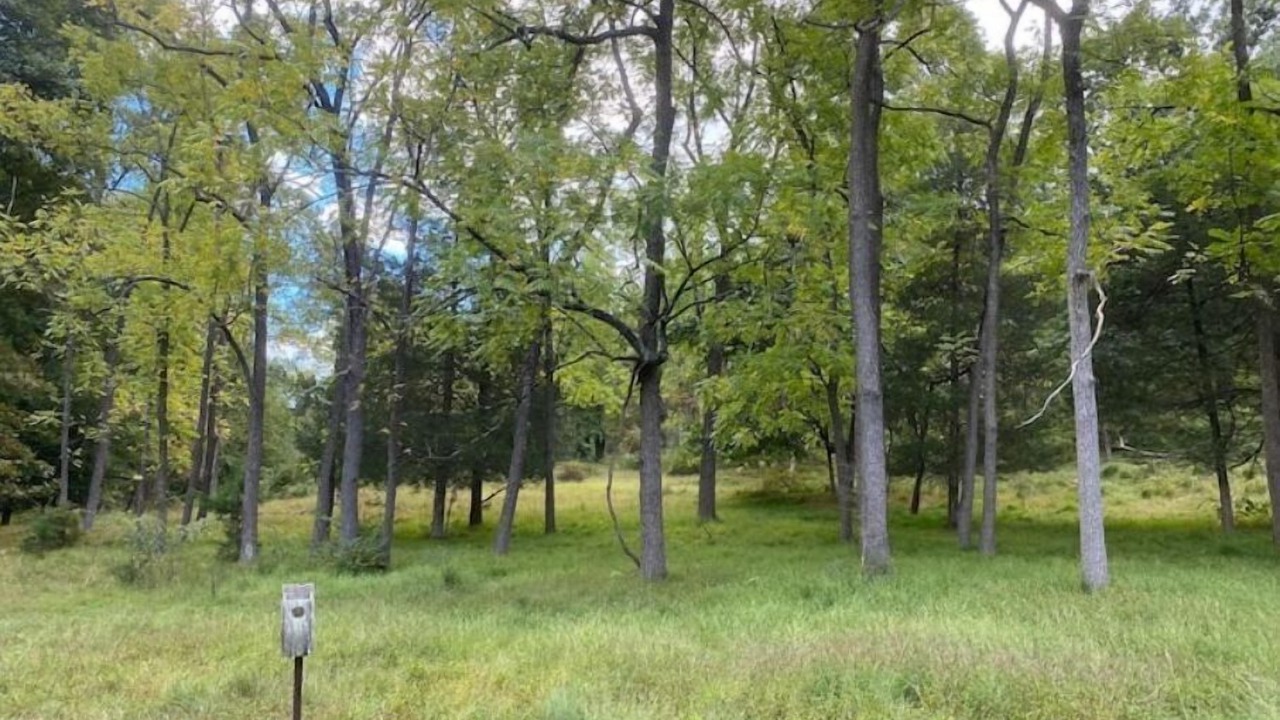 Photo of Others in Mohnton