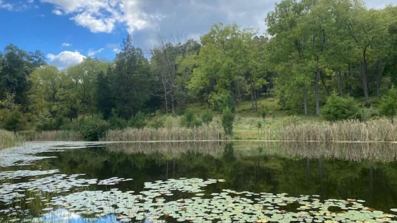 Photo of Outdoor in Mohnton