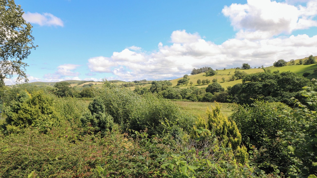 Photo of Outdoor in Tirabad