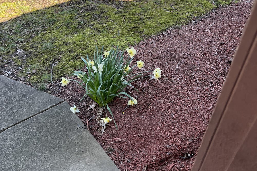 Photo of Outdoor in Monroeville